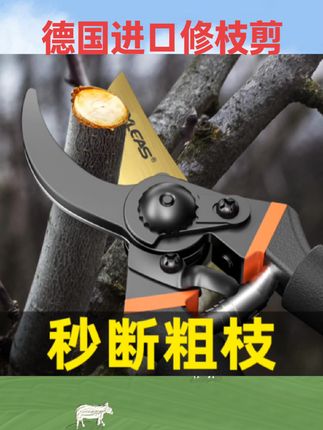 #农用工具 德国进口强力修枝剪刀树枝修剪园林花枝剪子园艺粗枝剪刀剪枝木工#农用好物 #好物推荐 #修枝剪 #粗枝剪