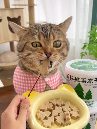 我真的惊呆了 这个排毛冻干真的让我家猫猫把毛排出来了~#吃货猫 #猫零食 #养宠进阶指南 #宠物零食 #排毛冻干
