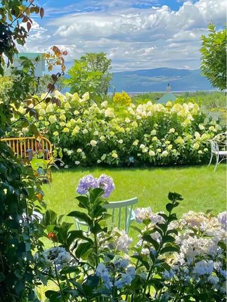 #智能电饭煲 科帝索家用电饭煲多功能全自动小型煮粥煮汤不粘内胆智能电饭煲3L#多功能电饭煲 #不粘锅电饭煲 #爆款热卖中