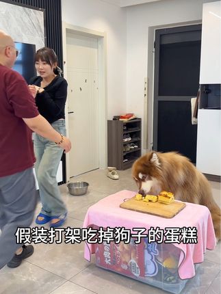 钱袋爱吃肉❤️