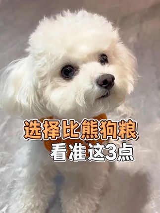 选择比熊的狗粮,看准这3点!#比熊狗粮推荐 #鸭肉梨狗粮 #比熊泪痕
