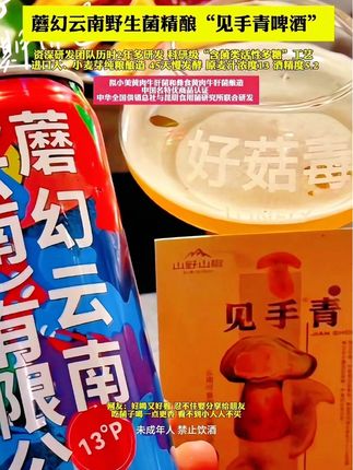 谁懂啊吃菌子就要喝见手青啤酒#见手青啤酒 #微醺时刻 #快来一起尝个鲜 #谁懂啊真的很好喝 #仙女都在喝什么 @DOU+上热门 @DOU+小助手