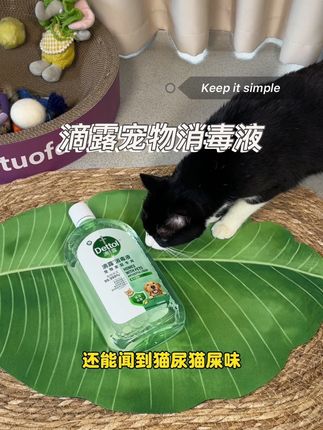 家里有猫狗的,刷到赶紧备一瓶。#滴露 #萌宠好物 #宠物除臭 #宠物除臭喷雾 #滴露宠物消毒液