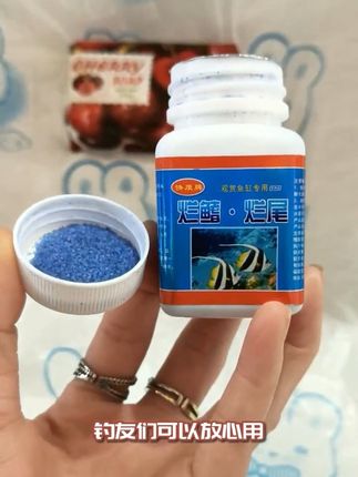 烂尾烂鳍鱼缸专用简鲨观赏鱼金鱼烂鳍烂腮烂鳞寄生虫专用#观赏鱼 #养鱼必备#养鱼经验分享 #养鱼日记 #鱼七好物