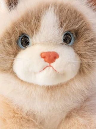仿真会叫猫咪公仔小猫玩偶毛绒玩具布娃娃生日礼物女生抱枕女孩子#玩具 #每日分享 #也太可爱了吧 #毛绒公仔 #这也太好看了