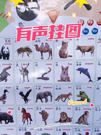 这个有声画图挂在墙上,宝宝随时可以学习各种知识,非常方便,喜欢哪个就按哪个,跟着读还可以中英文切换,测试功能和音乐 太适合学说话的宝宝了。#幼儿启蒙 #益智早教 #儿童早教 #语言启蒙