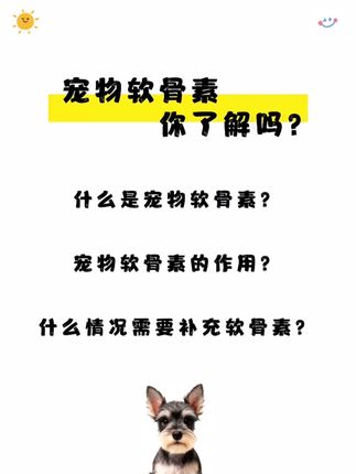 为什么要给狗狗吃鲨鱼软骨素?狗狗的忍痛能力特别强!大家一定要及时给狗狗补充鲨鱼软骨素!养护关节#创作灵感 #养狗经验分享 #宠物知识 #狗狗软骨素 #养狗小知识