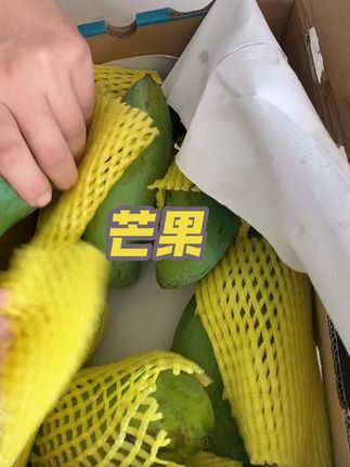 好好吃啊#应季水果 #脆甜多汁 #快来一起尝个鲜 #日常分享