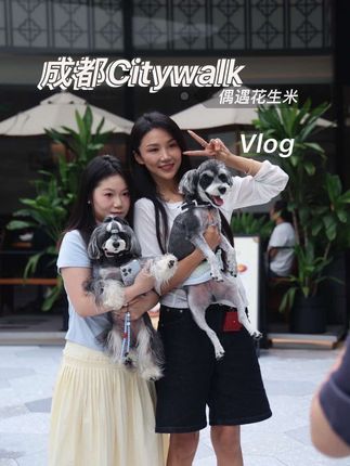 Vlog.5|成都City没walk明白vlog 自驾旅行的第4天在成都 都是在评论区或者在群里知道我行程的花生米特意来偶遇 有的请假来的 有见面很激动哭了的 有送礼物的 很开心很感动 人多也怕没照顾到每位的情绪 没说上许多话让你们失望 谢谢大家的理解支持和喜爱 我怎么感觉喜欢我人的比喜欢我🐶得花生米更多嘞哈哈哈哈哈 #日常分享 #上热搜 #vlog日常 #每日分享