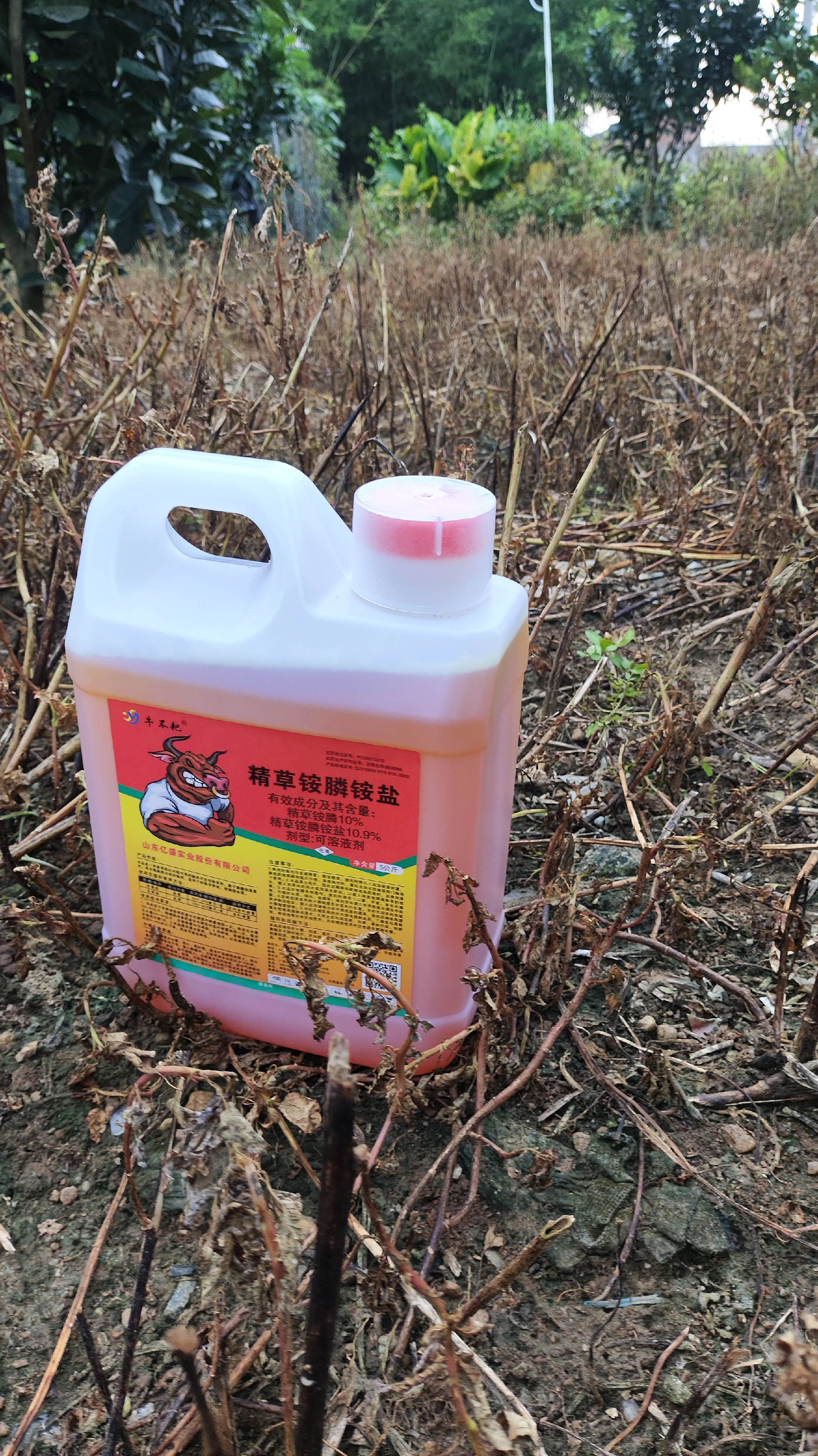 除杂草神器,精草铵膦铵盐除草剂#除草不伤作物 #不影响下茬种植#果园茶园园林,田埂荒地都可以使用#抖音助农扶农 #三农