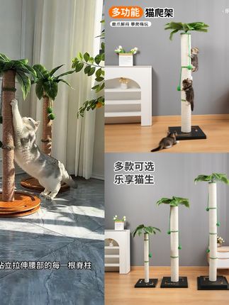 猫抓柱特大超高立式剑麻高颜值猫抓板猫爬架通天柱磨爪蹭痒椰子树#猫抓柱#特大超高立式剑麻#高颜值猫抓板