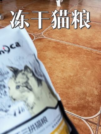 汉欧大厂的三拼冻干猫粮终于有活动了,现在买三包就送这么多,比正装还便宜,刷到的宝子赶紧冲#whycat猫粮 #猫粮 #冻干猫粮