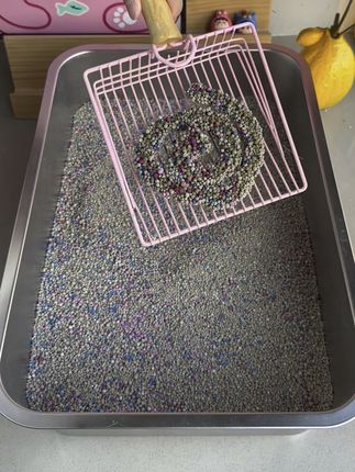 猫砂没有必要买太贵的,这种10斤9块9的猫砂真的是又便宜又好用!不仅是猫咪喜欢的沙漠脚感,而且吸水快结团紧实,包裹严实除臭好,对铲屎官也很友好 #猫砂 #猫砂推荐 #养猫必备 #养猫新手dou上热门 #创作者扶持计划