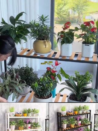 多层花架,方便实用,美观#花架 #花盆架子 #花架置物架 #好物推荐 #多层花架