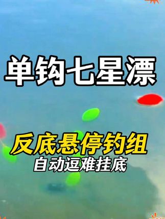 这个线组不错,反底悬停逗钓用的,七星漂款免调漂,成品套装带金海夕钩,台钓省事 #钓组套装 #七星漂线组 #免调漂线组 #台钓配件 #钓鱼好物