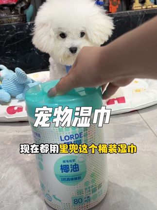 一开,一抽,就可以给小狗做清洁啦,每天遛弯回来记得要给毛孩子做清洁哦#里兜桶装湿巾 #宠物湿巾 #狗狗清洁湿巾 #狗狗清洁 #萌宠好物