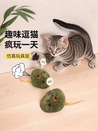 智能猫咪玩具自嗨解闷 智能猫咪玩具自嗨解闷#可爱萌宠 #我要上热门🔥 #我要流量 #智能猫咪玩具自嗨解闷#无限回购的宝藏单品