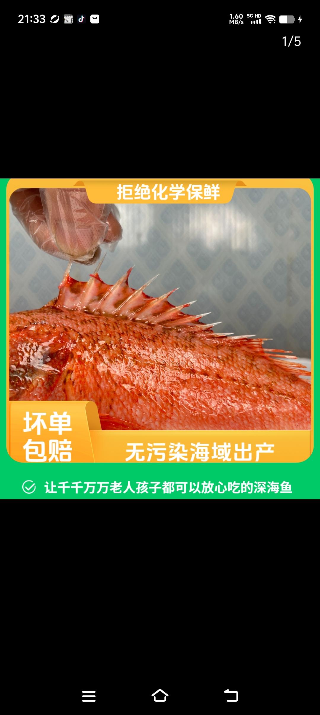 #强烈推荐#石斑石九公鱼