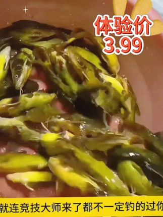 黄辣丁专用窝料