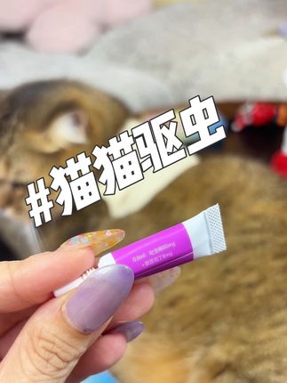 夏天到了一定要给猫猫狗狗做好驱虫!第三代内外同驱自己在家就能做!便宜又好用!#科学养宠 #猫狗驱虫