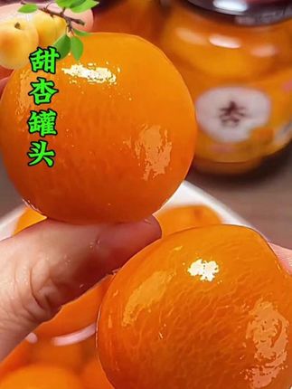 #甜杏罐头 13.99到手4大罐 果肉厚实,口感脆甜,汤汁清澈,太好吃了!#水果罐头#夏日美食#超便宜超划算