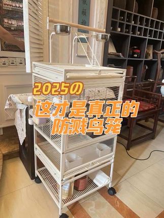 这才是真正的防溅鸟笼 养鸟十年,要是有人早告诉我这些,我也不会浪费那么多钱了,养鸟不踩坑之一(选一个好的鸟笼),布置鸟笼的所有好物主页橱窗里都有#养鸟 #防溅鸟笼 #鸟笼鸟具 #鹦鹉 #鹦鹉用品