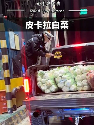 皮卡拉白菜走绿通,到底算不算钻空子?#绿通 #高速 #皮卡