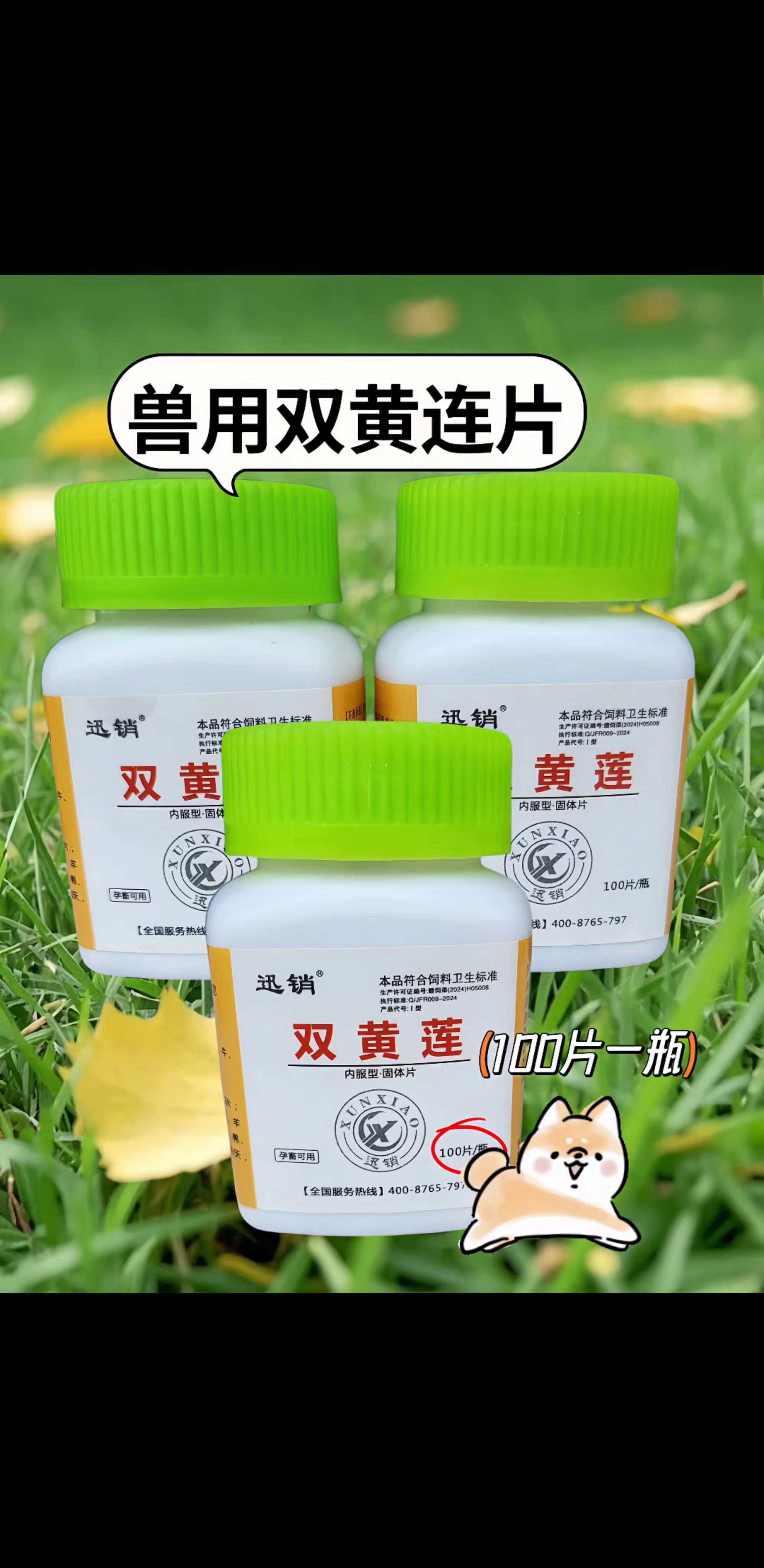兽用双黄连片!#双黄连 #猫犬通用 #科学养宠攻略 #科学喂养 #自用好物推荐
