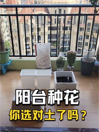 通过几年的养花经验,得到一个实实在在的结论—— 省啥都不要省买营养土的钱,用过这款营养土后,你会发现一款好的营养土养花,会帮你省下不少买花苗的钱,而且养出来的花花草草健康又漂亮。#自用款营养土推荐