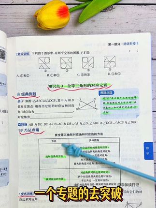 七升八的暑假,别报班,别贪多,就去吃透这套书,科科100+#七升八 #初一升初二 #新初二 #暑假衔接