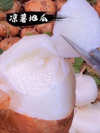 贵州新鲜地萝卜!脆甜多汁!水分充足!容易剥皮!当天现挖现发,太好吃了!#地瓜 #我的家乡特产 #现挖现发#优质农产品 #凉薯地瓜