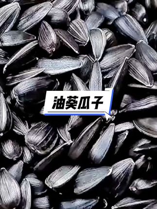 油葵瓜子 #瓜子 #毛嗑 #油葵