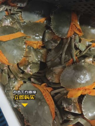 三门青蟹想要的赶紧下单#支持全国发货 #海鲜 #海鲜原产地 #送礼佳品 #三门青蟹
