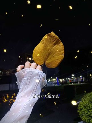 心无杂念,一切随便,幸福的另一个名字,叫普通的一天…