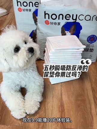 到底是谁还没用过好命家这款五秒瞬吸 防反渗的尿垫?!#萌宠好物 #宠物用品好物推荐 #尿垫#狗狗