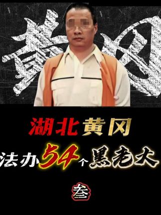 湖北黄冈被法办严惩的54个黑老大,三! #盘点 #湖北 #黄冈 #黑老大 #扫黑除恶 湖北黄冈扫黑除恶成果展示,高擎利剑惩黑恶 ,弘扬正气护安宁!