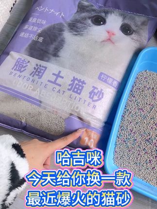 推荐一款爆火的猫砂#我的养宠日记 #养猫人 #猫砂测评 #宠物vlog