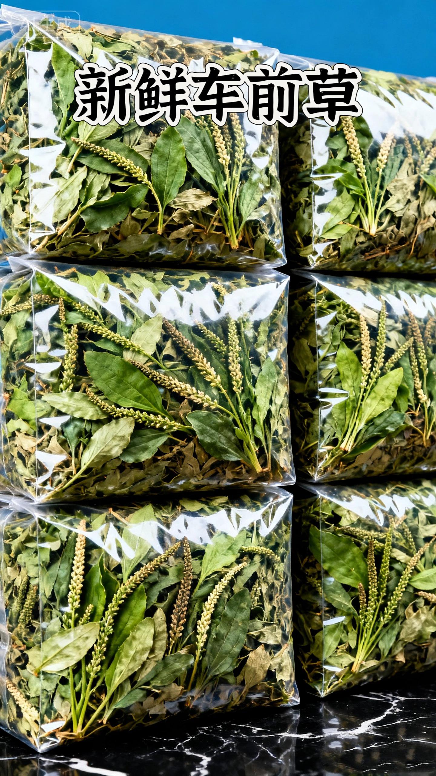 车前草#车前草 #车前草茶#车前草煮鸡蛋#好物推荐@抖加🔥上热门🔥dou+🔥热点宝