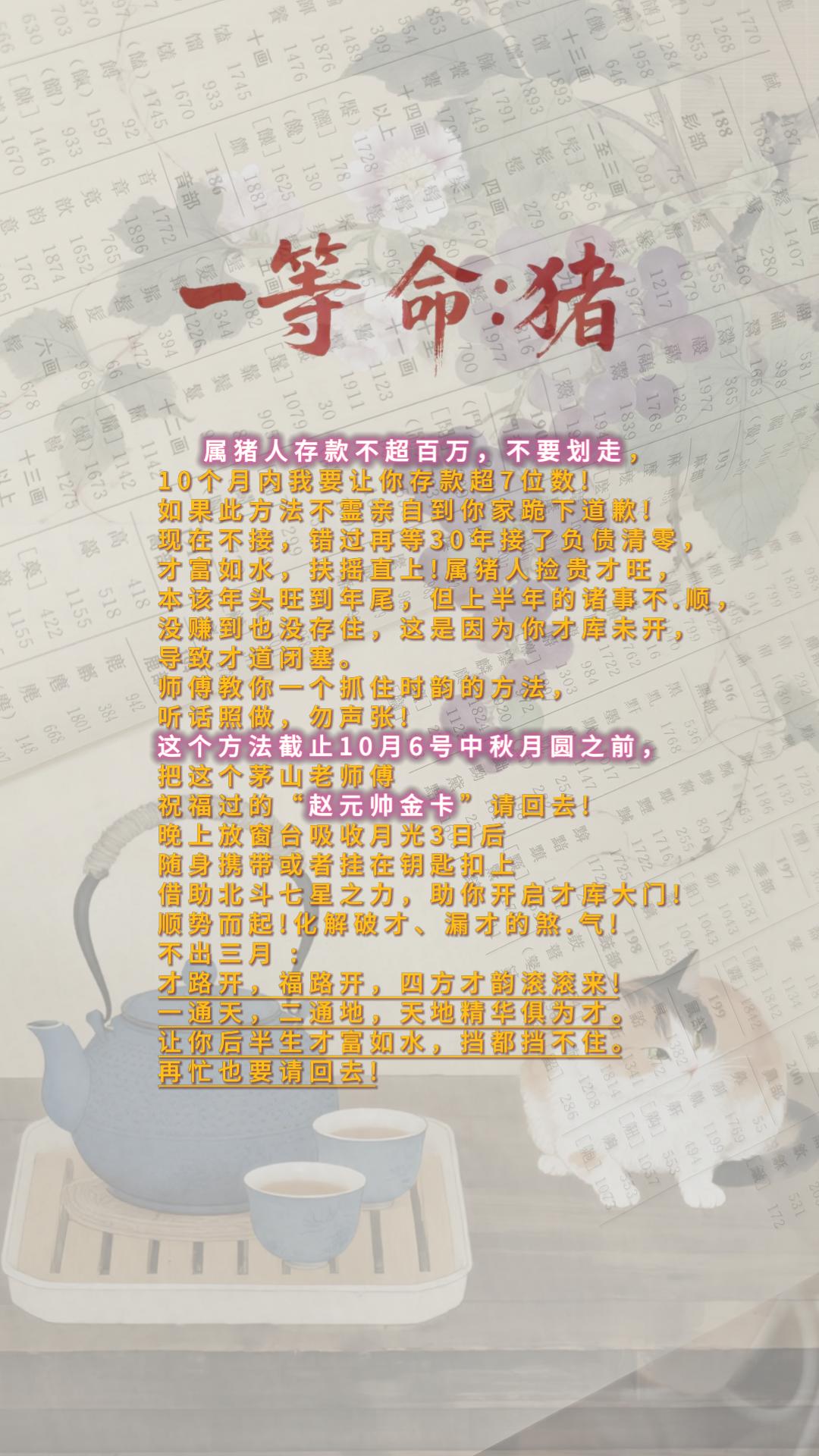 #生肖猪 #猪 #属猪