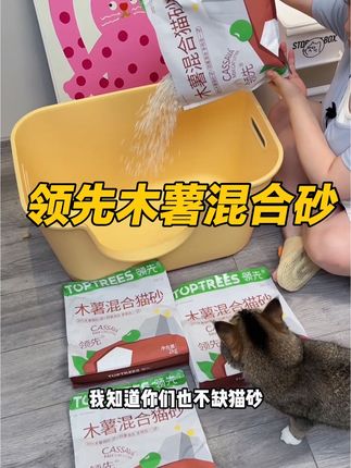 领先木薯砂,大大大破价了!价格低到炸裂!当然要囤几个月的量啦!#猫砂 #猫砂推荐 #木薯砂 #领先猫砂 #新手养猫