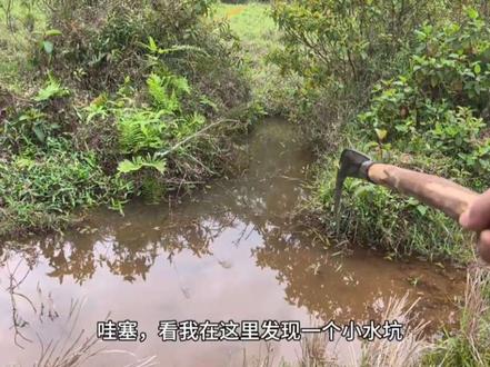 以前童年时代网络不普遍就喜欢来摸鱼!!#户外抓鱼 #逮鱼摸虾 #我的乡村生活 #摸鱼