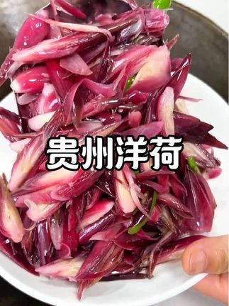 #洋荷 又名#洋荷姜 你有吃过吗?现摘现发,不管是炒腊肉、炒回锅肉和凉拌都特别好吃下饭!#乡村味道 #家常菜 #地方特色美食