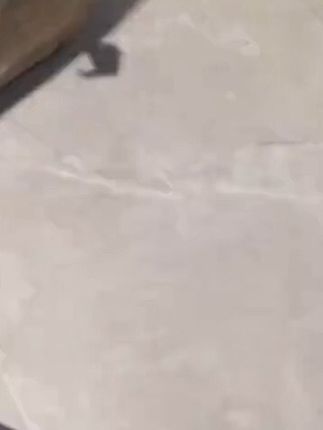 哇哇哇!清风大品牌也来开卷了!卡皮巴拉的抽纸这价到手20大包真的好划算!纸质也是嘎嘎好,原生木浆纸柔软亲肤!快冲快冲! #超便宜超划算 #好东西一起分享 #好物推荐#抽纸#宝妈