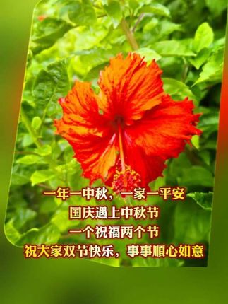 一年一中秋,一年一平安! 国庆遇上中秋节 一个祝福两个节 祝大家双节快乐,事事顺心如意 #国庆中秋节快乐