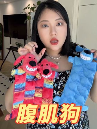 超好玩的腹肌狗 最后一批现货啦!!! 清完🈚️ #狗狗 #萌宠 #比熊 #泰迪 #小狗