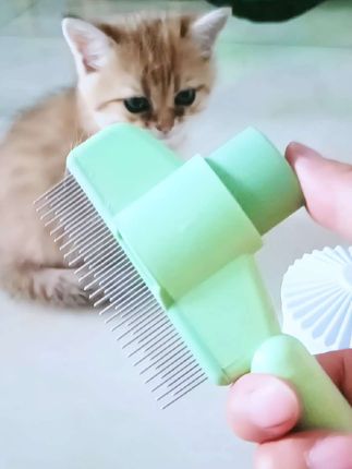 喜欢养猫的姐妹不要为爱宠掉毛烦恼了!浮毛梳每周梳几次家里干净了#浮毛梳#宠物梳子#萌宠好物#不掉毛