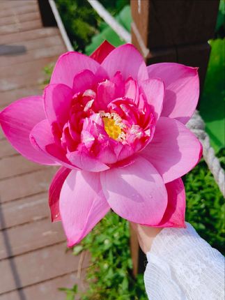 #空气循环扇 #空调扇 #家用电器 #智能家居智能生活 #居家好物