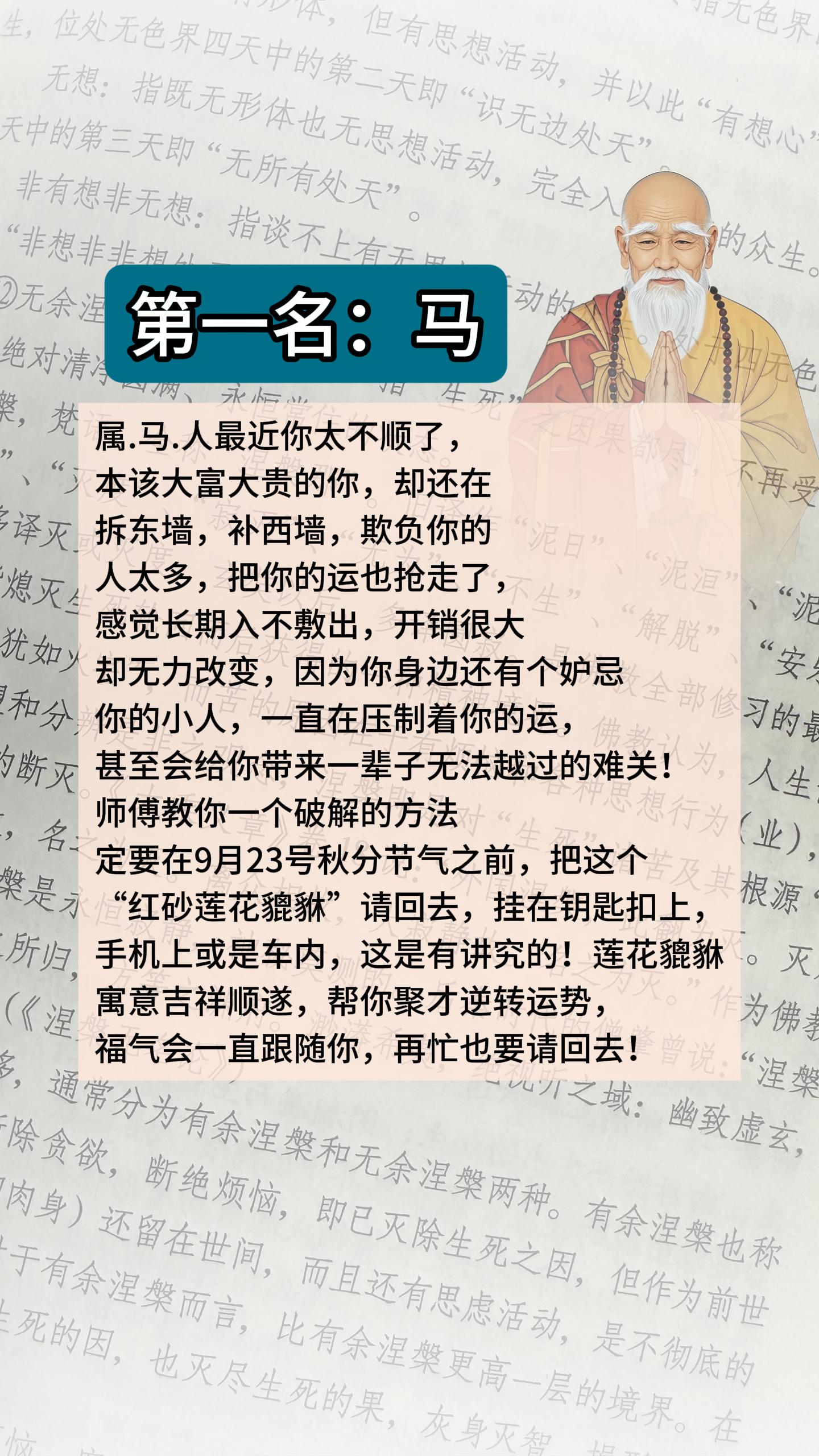 #马 #属马 #生肖马