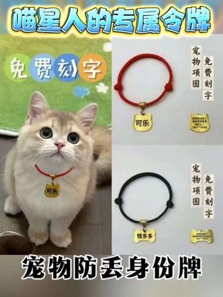 可调节宠物项圈猫咪狗狗身份牌防丢牌定制中小 犬泰迪比熊挂饰防丢 #好物推荐🔥 #萌宠好物 #萌宠好物分享 #创作者中心 #创作灵感