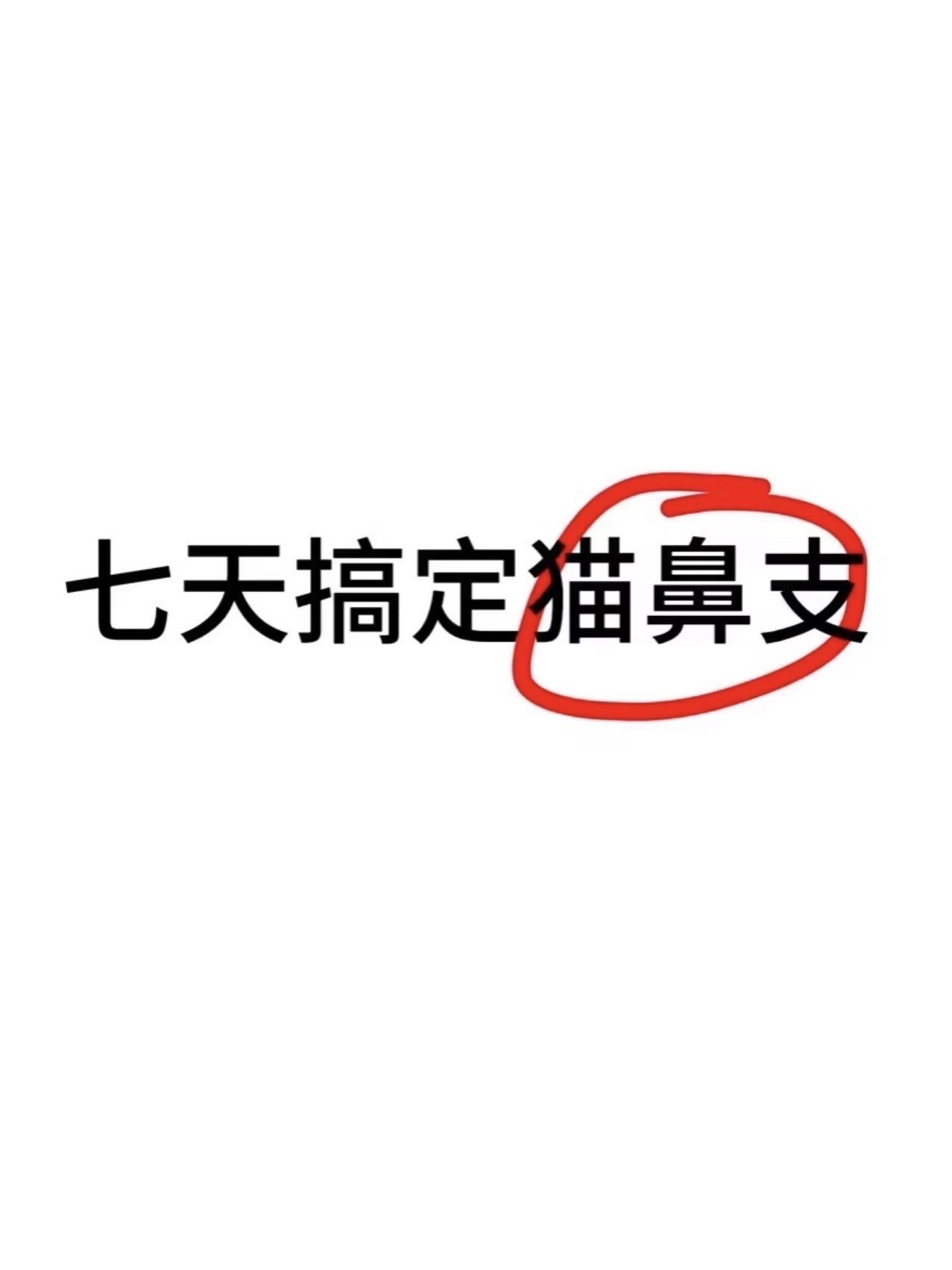 猫鼻支高发期,能帮一个是一个。#萌宠好物 #猫鼻支 #猫鼻支症状 #猫咪打喷嚏流鼻涕 #猫咪泪痕严重
